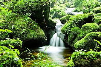 Serene Mossy Waterfall in Lush Green Forest