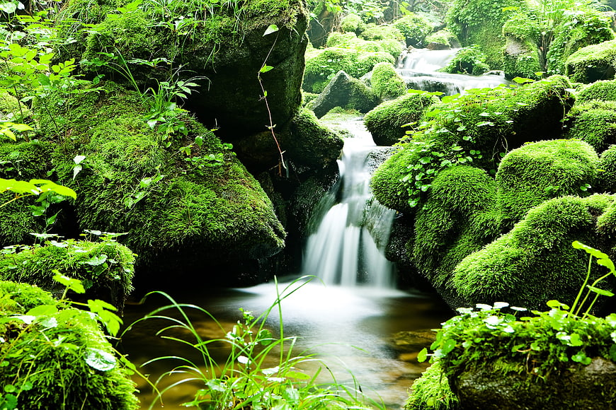 Serene Mossy Waterfall in Lush Green Forest