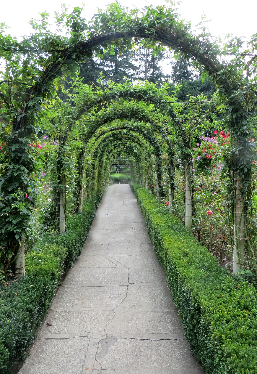 Green garden arches with rose path and nature walkway
