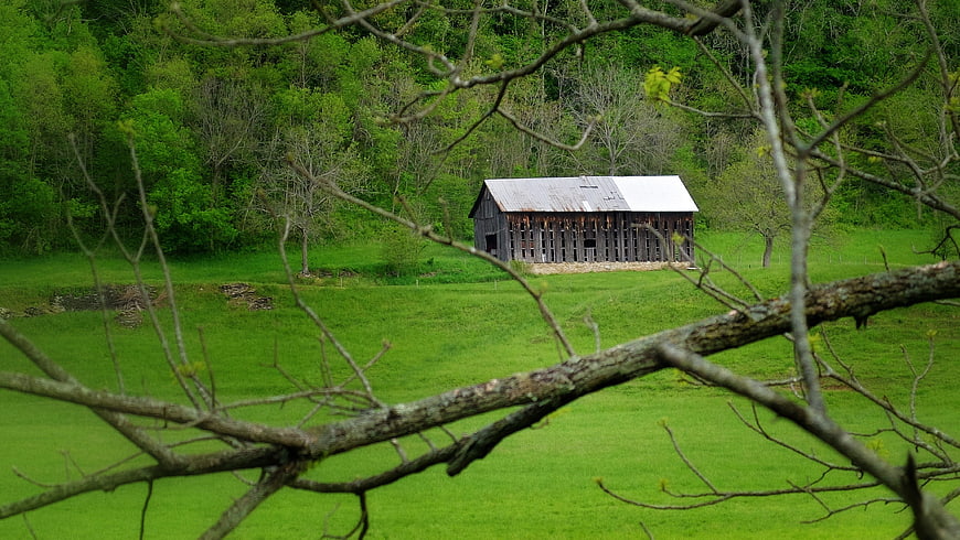 Rustic wooden barn in green field with foreground branches