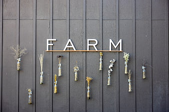 Rustic Farm Sign with Dried Flowers on Barn Wall