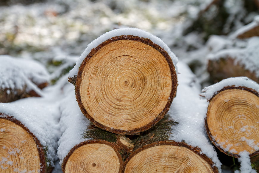 Stack of cut logs covered in fresh snow in winter forest