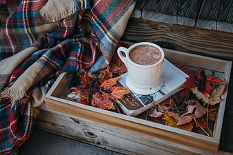 Cozy autumn still life with hot chocolate, book, and plaid blanket