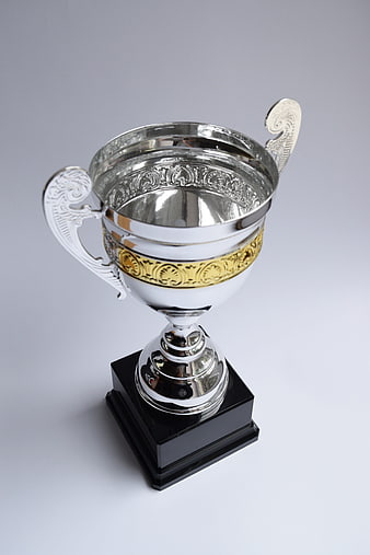 Silver and Gold Trophy Cup on Black Base