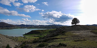 Panoramic landscape with solitary tree on hill overlooking lake