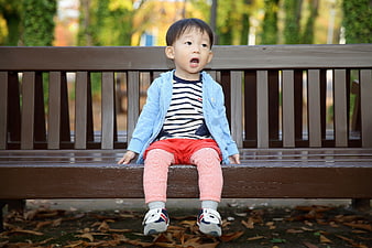 Cute Toddler Boy Sitting on Park Bench in Autumn