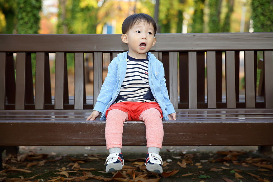 Cute Toddler Boy Sitting on Park Bench in Autumn