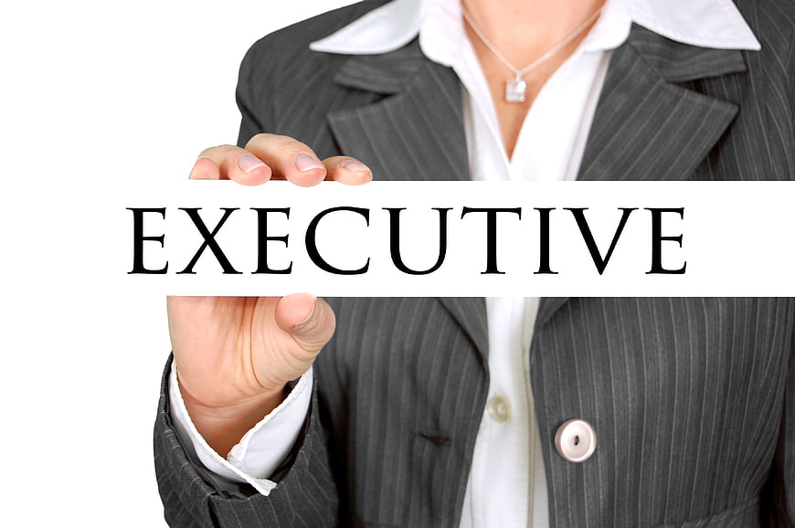 Businesswoman holding executive sign in pinstripe suit