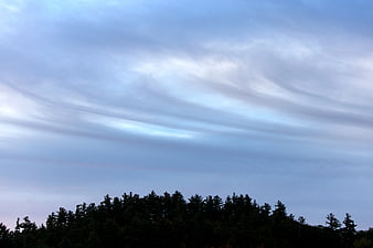 Dramatic Swirling Clouds Over Dark Forest Silhouette