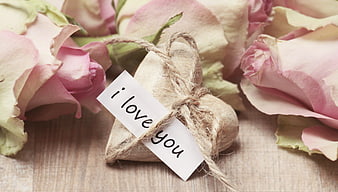 Dried Pink Roses with I Love You Tag on Wood