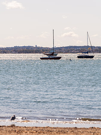 Sailboats Anchored on Sparkling Blue Water with City Skyline