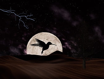 Hummingbird Silhouette Flying Over Desert Dunes at Night