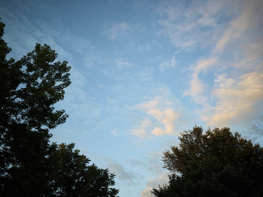 Blue sky with clouds and tree silhouettes