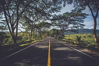 Scenic tree-lined rural highway with yellow center line