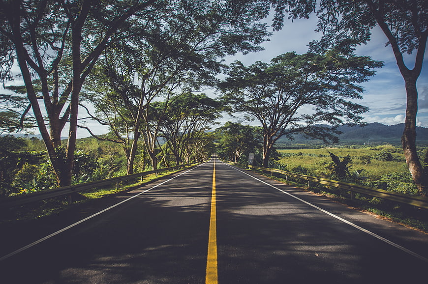 Scenic tree-lined rural highway with yellow center line