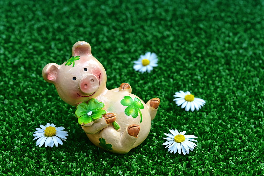 Cute ceramic pig figurine holding clover on green grass with daisies