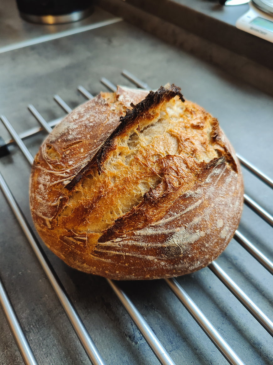 Freshly baked sourdough loaf on cooling rack