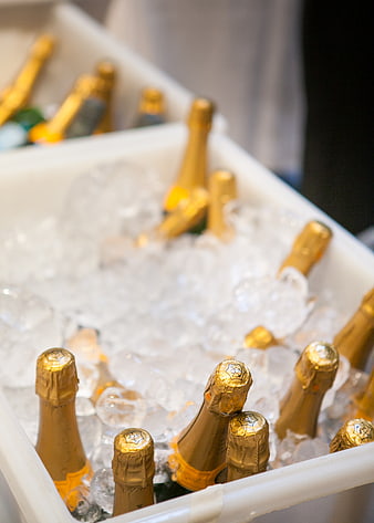 Champagne Bottles Chilling in Ice Bucket