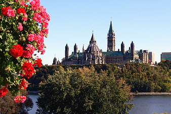 Ottawa Parliament Buildings with Red Geraniums in Foreground
