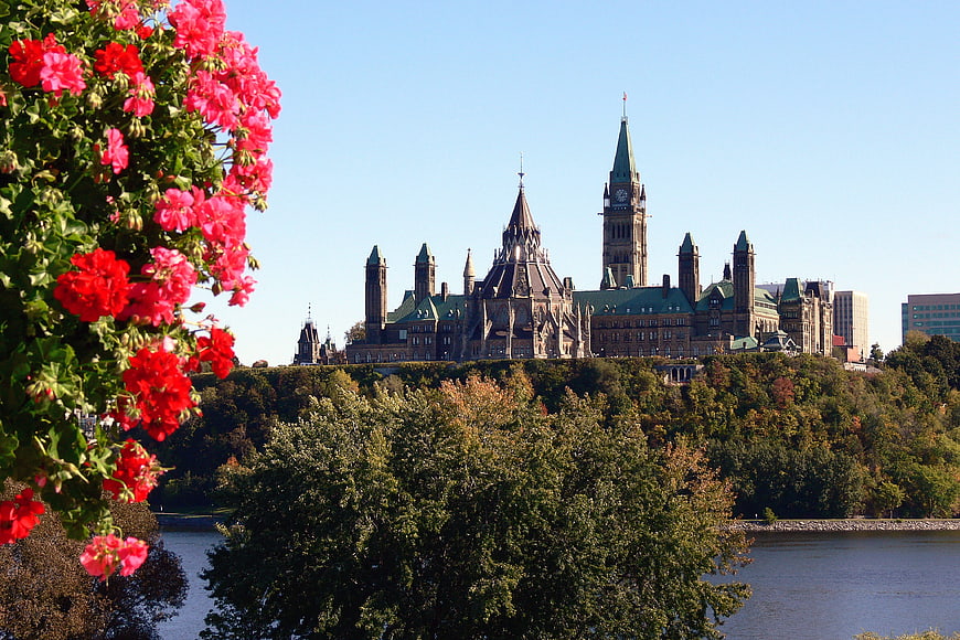Ottawa Parliament Buildings with Red Geraniums in Foreground