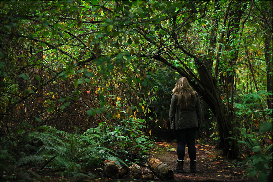 Woman Walking on Forest Path in Autumn Woods
