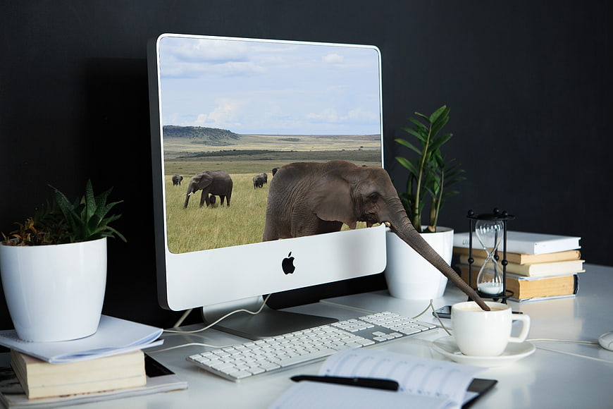 Elephant trunk reaching out of computer screen drinking coffee