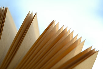Close-up of open book pages backlit by sunlight