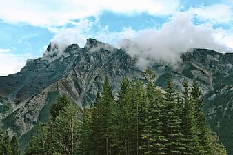 Majestic Rocky Mountain Peaks with Clouds and Pine Forest