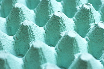 Close-up of textured green egg carton background