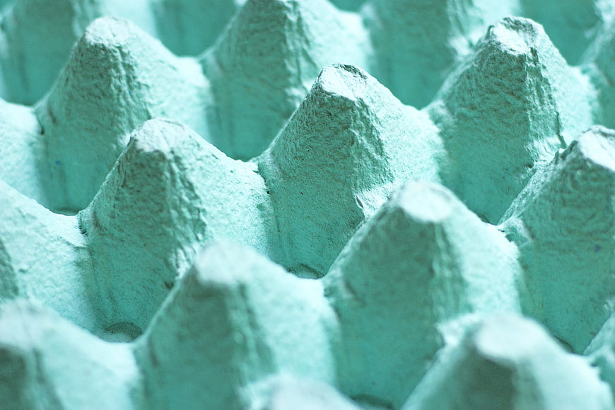 Close-up of textured green egg carton background