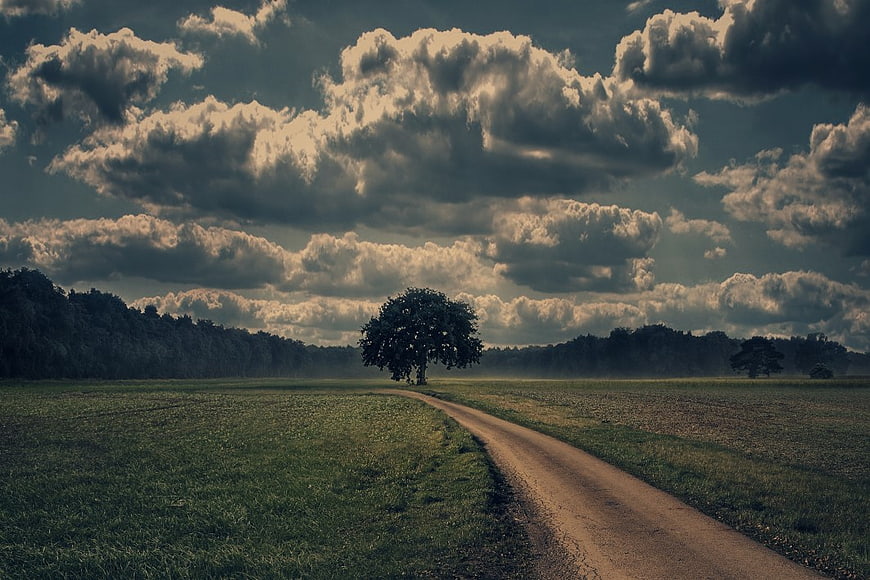 Dramatic Storm Clouds Over Rural Dirt Road and Solitary Tree