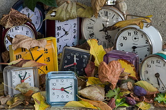 Vintage alarm clocks and autumn leaves still life