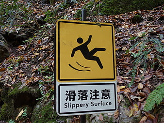Slippery Surface Warning Sign in Autumn Forest