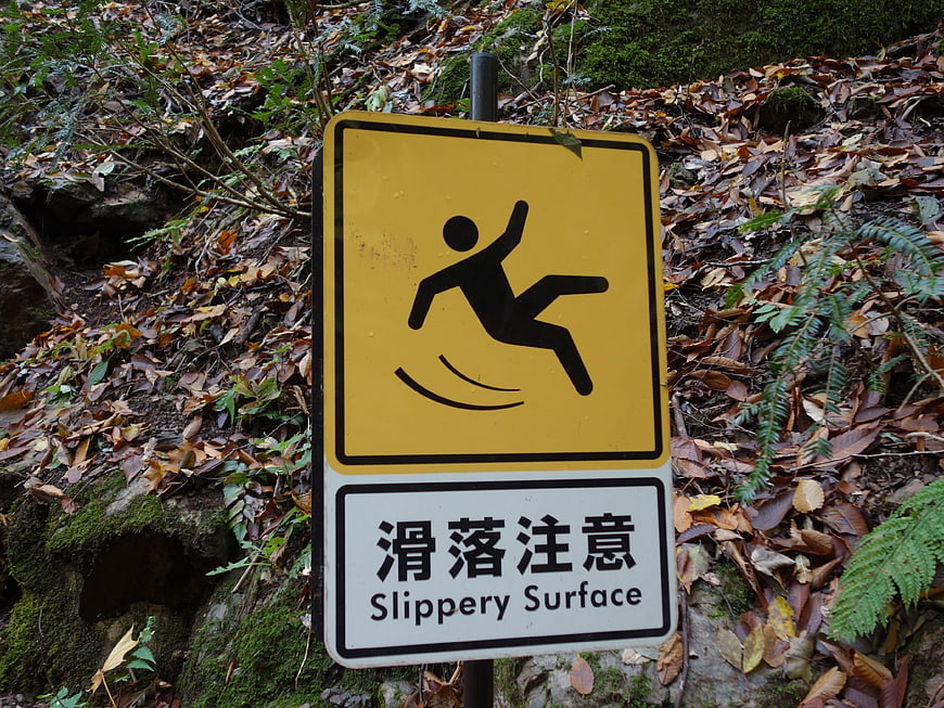 Slippery Surface Warning Sign in Autumn Forest