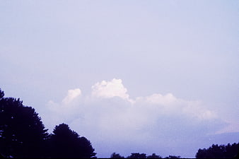 Vintage Film Clouds Over Dark Tree Silhouette