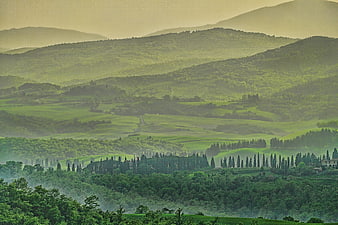 Misty Tuscan Hills with Cypress Trees and Rolling Green Landscape
