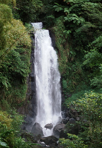 Tall waterfall cascading through lush tropical rainforest