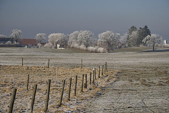 Frosty winter landscape with wooden fence and rural houses