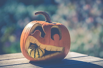 Carved Halloween Pumpkin with Miniature Gourd in Mouth