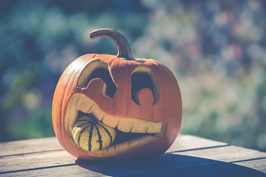 Carved Halloween Pumpkin with Miniature Gourd in Mouth