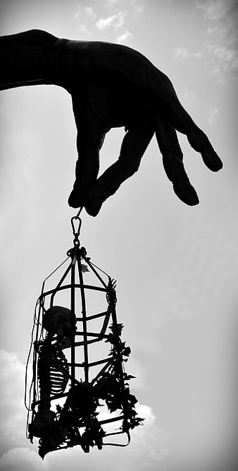 Silhouette of giant hand holding caged skeleton against sky