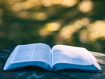 Open Bible on Wooden Table with Bokeh Background
