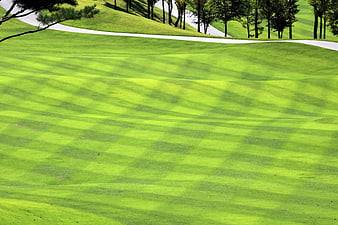 Lush Green Golf Course Landscape With Winding Path And Trees