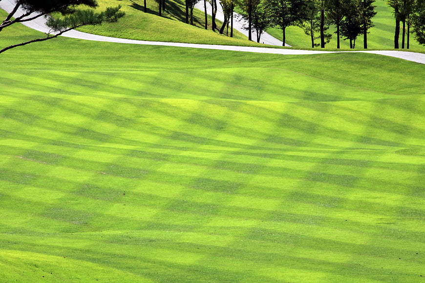 Lush Green Golf Course Landscape With Winding Path And Trees