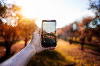 Hand holding smartphone taking photo of autumn park