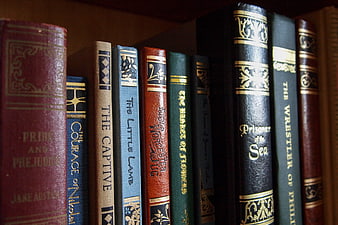 Vintage Classic Literature Books on Wooden Shelf