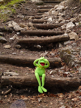 Kermit the Frog Plush Sitting on Wooden Forest Stairs