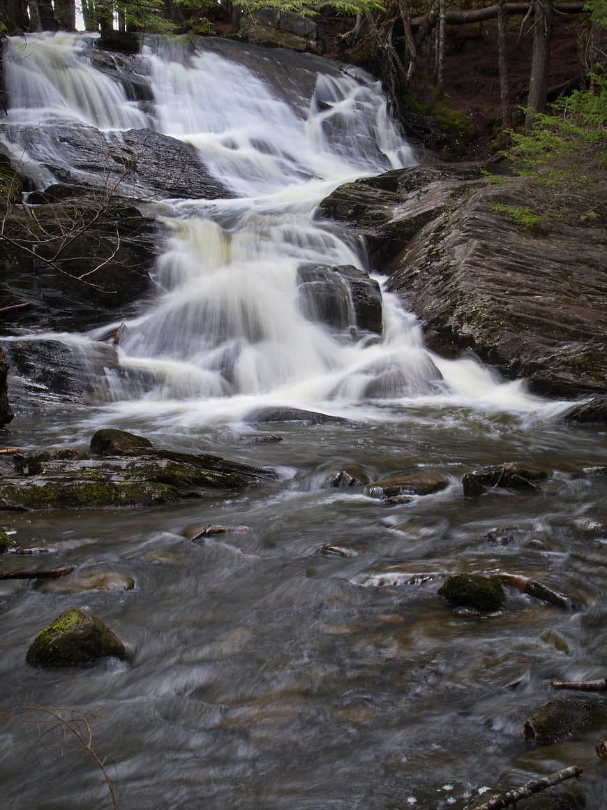 Flowing Waterfall in Forest Stream with Rocks