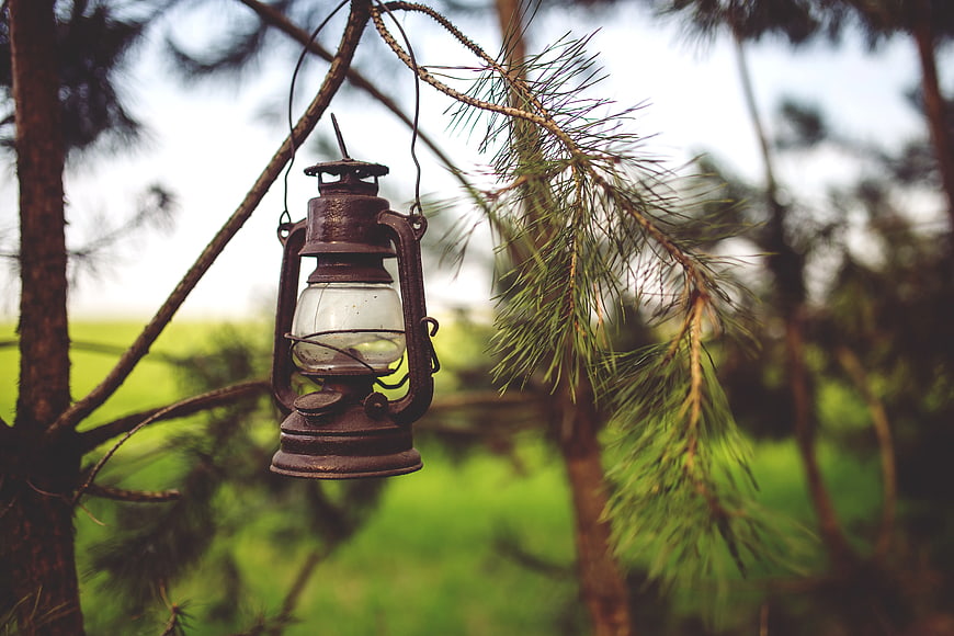 Vintage rusty lantern hanging on pine tree branch