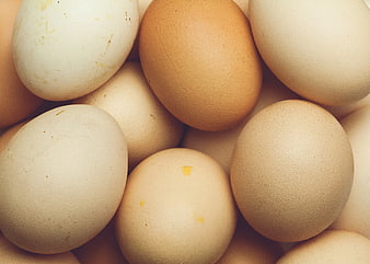 Close-up of fresh brown and white chicken eggs